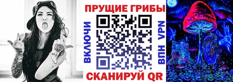 Галлюциногенные грибы Psilocybine cubensis  Вологда 