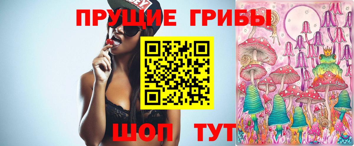 Галлюциногенные грибы ЛСД  Вход с VPN  Вологда  Псилоцибиновые грибы Cubensis 