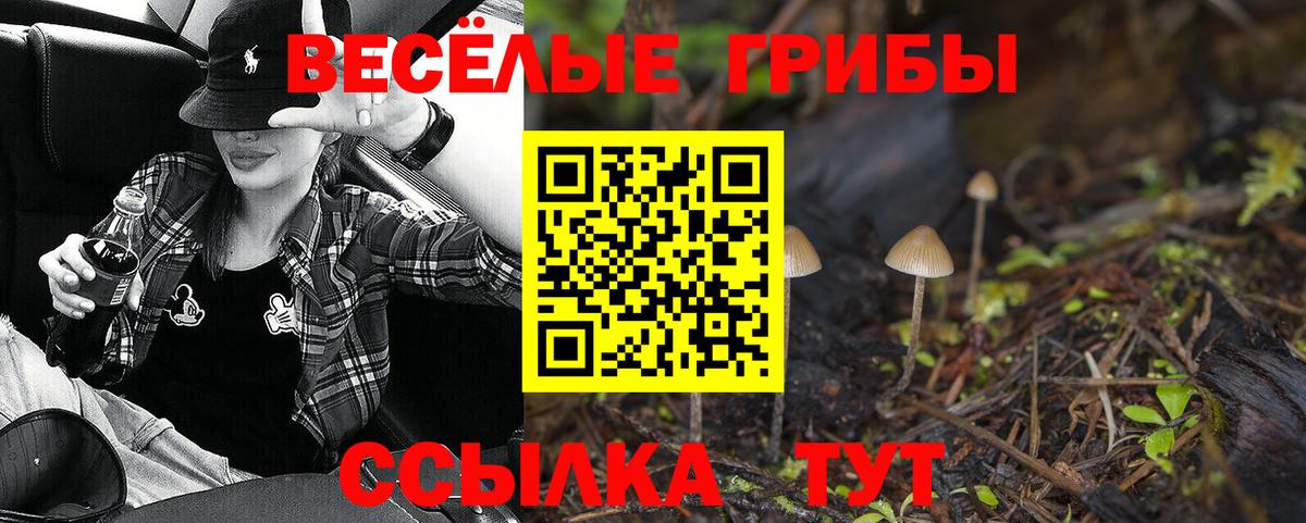 Галлюциногенные грибы Psilocybe Вологда